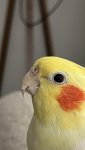 IMG_8034.jpg