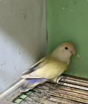 IMG_1911.png IMG_1911.png