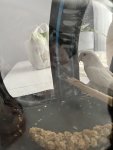 IMG_1915.jpeg