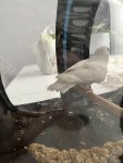 IMG_1914.jpeg