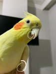 IMG_5549.jpeg