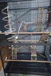 IMG-20260125-WA0013.jpg