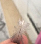 WhatsApp Image 2026-01-26 at 11.44.11.jpeg