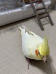 IMG_4598.jpeg