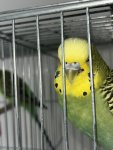 IMG_7740.jpeg