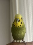 IMG_7940.jpeg