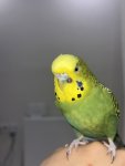 IMG_8073.jpeg