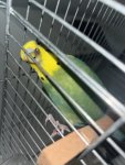 IMG_8028.jpeg