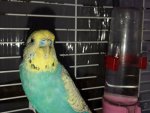 IMG_2495.jpeg