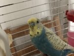 IMG_2497.jpeg