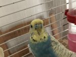IMG_2498.jpeg