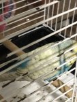 IMG_2470.jpeg