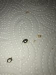IMG_2516.jpeg