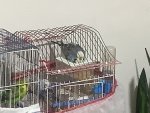 IMG_4472.jpeg