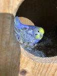 IMG_2400.jpeg