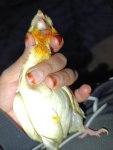 IMG-20260207-WA0016.jpg