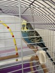 IMG_2071.jpeg