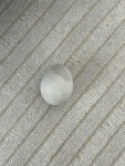 IMG_5176.jpeg