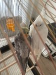 IMG_4470.jpeg