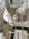 IMG_4469.jpeg