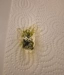 WhatsApp Image 2026-03-15 at 13.54.43.jpeg