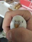 IMG20260315142329.jpg