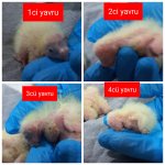 1773867333441.jpg 1773867333441.jpg