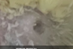 1774712396762.png