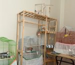 WhatsApp Image 2026-03-30 at 15.46.32.jpeg