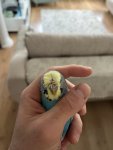 IMG_5757.jpeg