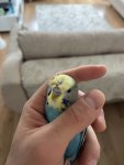 IMG_5756.jpeg