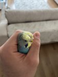 IMG_5755.jpeg