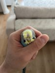 IMG_5754.jpeg