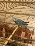 IMG_8987.jpeg