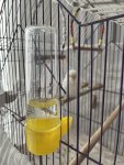 IMG_2088.jpeg