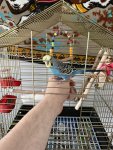 IMG_5815.jpeg