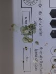 IMG_0719.jpeg