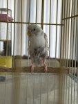 IMG_5991.jpeg