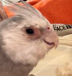 WhatsApp Image 2026-04-10 at 18.08.49.jpeg