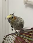 IMG_1507.jpeg