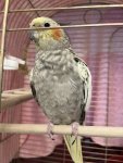 IMG_1503.jpeg