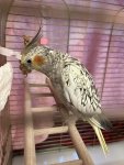 IMG_1499.jpeg