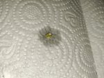 IMG_20260429_170459418.jpg