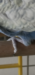 IMG_5857.png