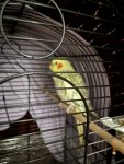 IMG_4300.jpeg