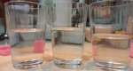 20260503_000348.jpg