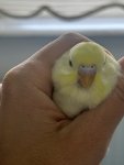 IMG_5460.jpeg