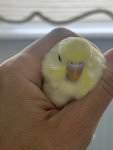 IMG_5461.jpeg