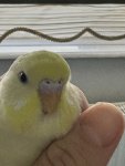 IMG_5459.jpeg