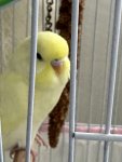IMG_5458.jpeg